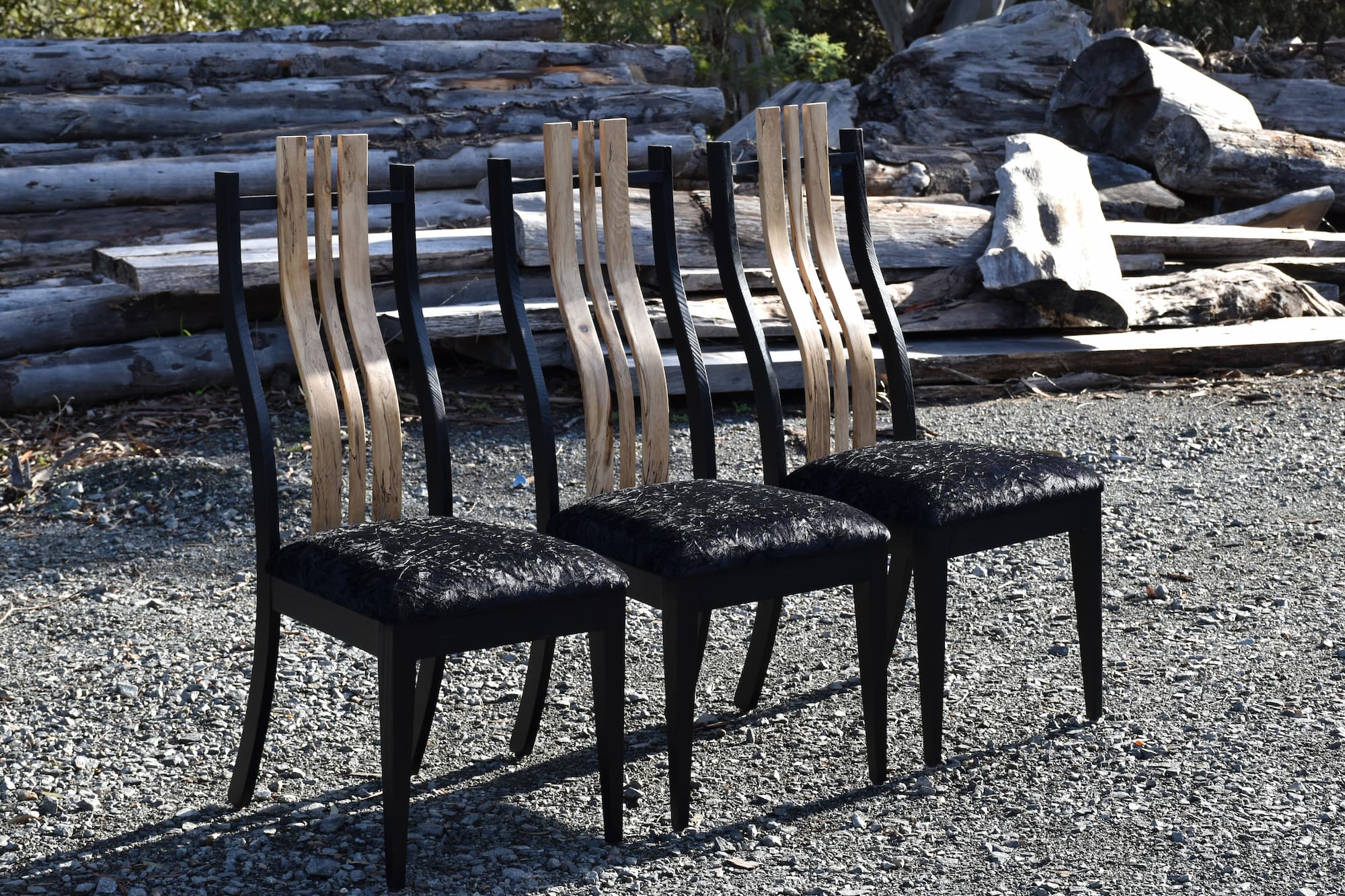 Blackwood and Tasmanian timber dining chairs with curved backs